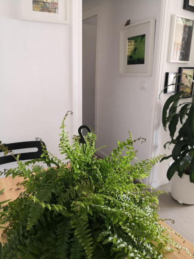 My Quiet House Διαμέρισμα Μάλαγα Εξωτερικό φωτογραφία