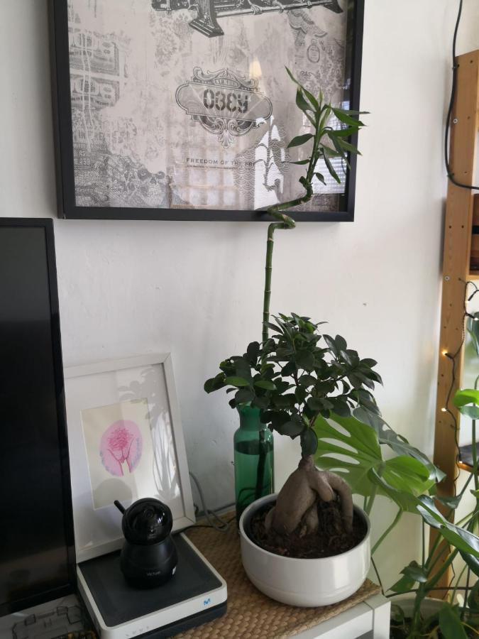 My Quiet House Διαμέρισμα Μάλαγα Εξωτερικό φωτογραφία